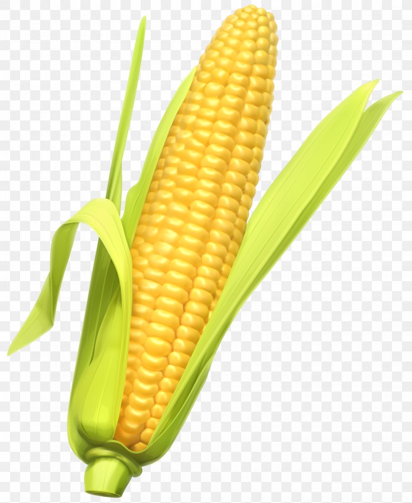Corn On The Cob Maize Vegetable Clip Art, PNG, 2863x3500px, Corn On The Cob, Commodity, Corn Kernels, Ear, Eggplant Download Free