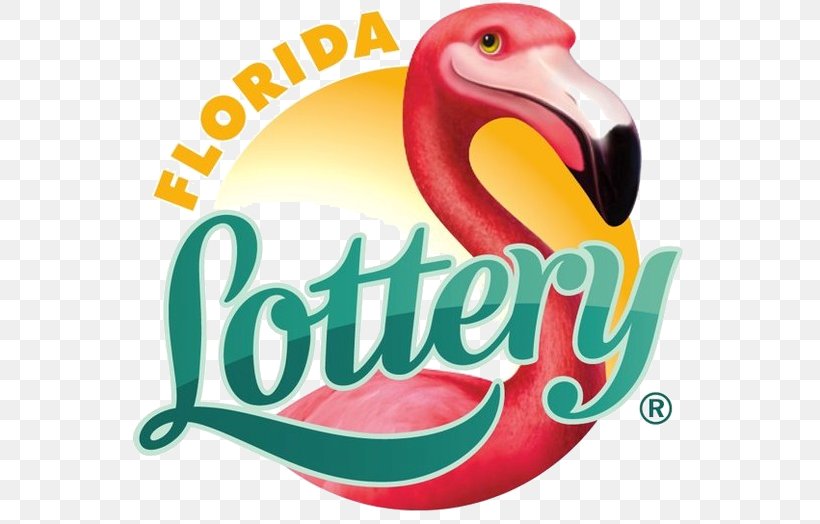Florida Lottery Scratchcard Mega Millions, PNG, 562x524px, Florida, Beak, Brand, Florida Lottery, Game Download Free