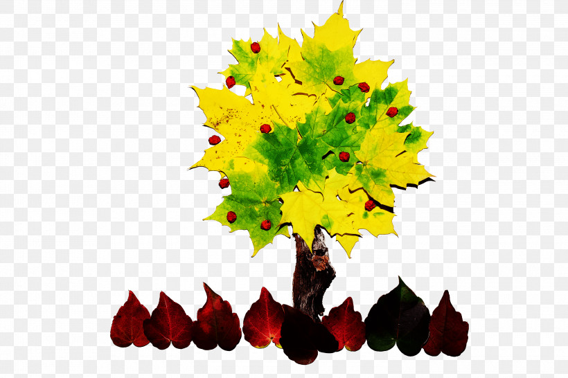 Maple Leaf, PNG, 3000x2000px, Leaf, Autumn, Black Maple, Deciduous, Flower Download Free