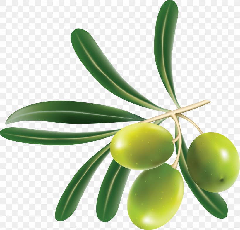 Olive Leaf Clip Art, PNG, 3502x3367px, Kalamata Olive, Food, Fruit, Ingredient, Mediterranean Cuisine Download Free