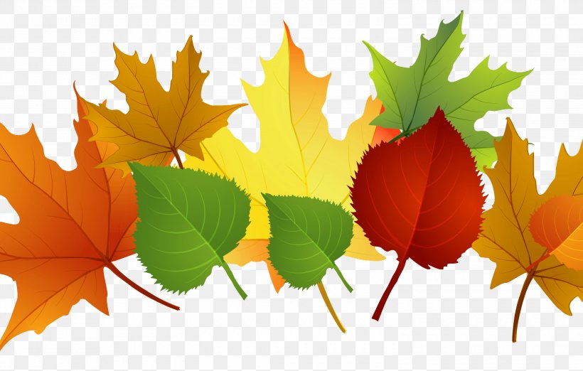 Autumn Leaf Color Autumn Leaf Color Clip Art, PNG, 3000x1910px, Leaf, Autumn, Autumn Leaf Color, Drawing, Maple Leaf Download Free
