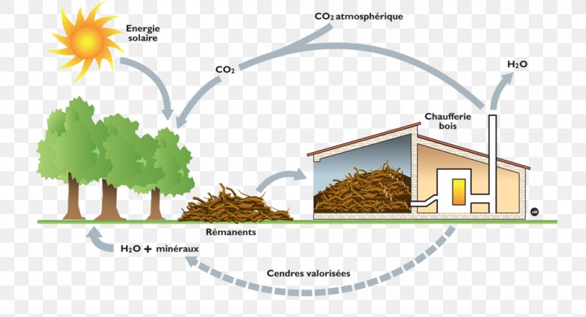 Biomass Energy Firewood Coal, PNG, 1046x567px, Biomass, Area, Bioenergy, Biofuel, Charcoal Download Free