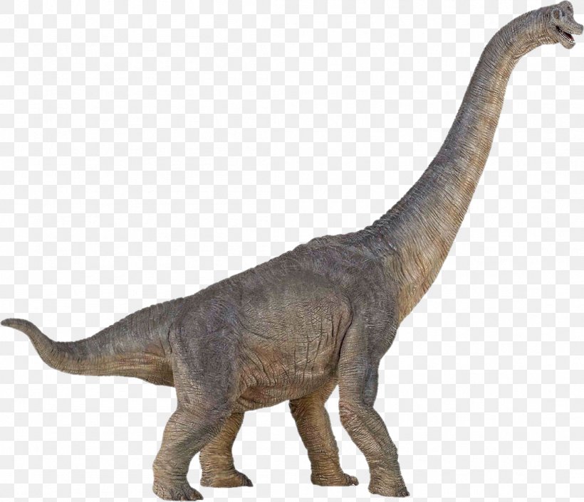 Brachiosaurus Dinosaur Size Stegosaurus Spinosaurus, PNG, 1103x950px, Morrison Formation, Action Toy Figures, Brachiosaurus, Dinosaur, Elmer S Riggs Download Free