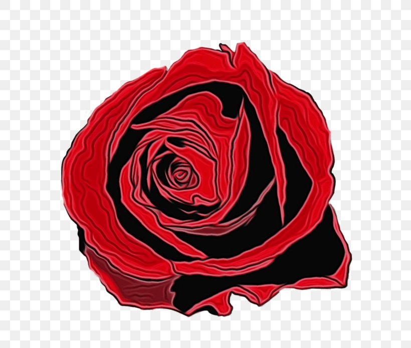 Flower Watercolor, PNG, 700x695px, Watercolor, Black, Black Rose, Blackandwhite, Camellia Download Free