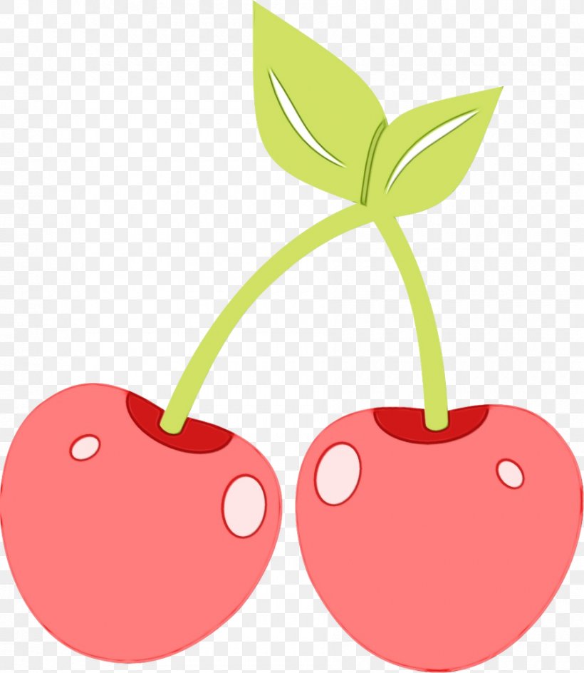 Fruit Cartoon, PNG, 900x1037px, Cherries, Cherry, Cookbook, Drupe, Food Download Free