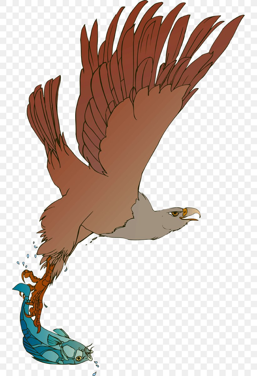 Illustration Clip Art Beak Feather Fauna, PNG, 743x1200px, Beak, Accipitriformes, Art, Bird, Bird Of Prey Download Free