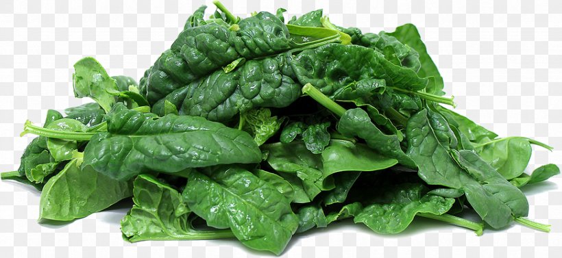 Spinach Salad Food, PNG, 872x401px, Spinach, Basil, Chard, Choy Sum, Collard Greens Download Free