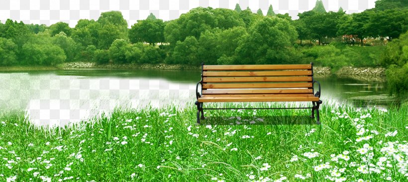 Tree Greening Clip Art, PNG, 1417x634px, Tree, Bench, Field, Forest, Furniture Download Free