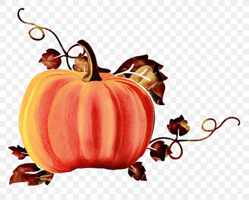 Cartoon Pumpkin, PNG, 1264x1019px, Pumpkin, Apple, Calabaza, Food, Fruit Download Free