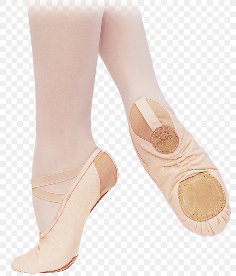 Dance Ballet Shoe Ballet Flat Pointe Shoe, PNG, 830x970px, Watercolor, Cartoon, Flower, Frame, Heart Download Free