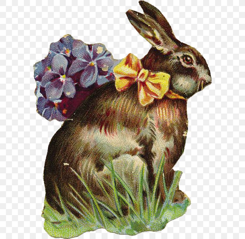 Domestic Rabbit Hare Easter Bunny, PNG, 598x800px, Domestic Rabbit, Christmas Day, Costume, Easter, Easter Basket Download Free