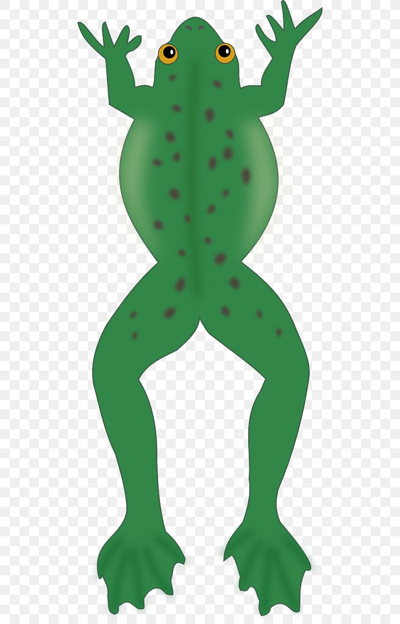 Frog Christian Clip Art Biology Clipart Amphibian, PNG, 640x1280px, Frog, Amphibian, Biology Clipart, Christian Clip Art, Fictional Character Download Free
