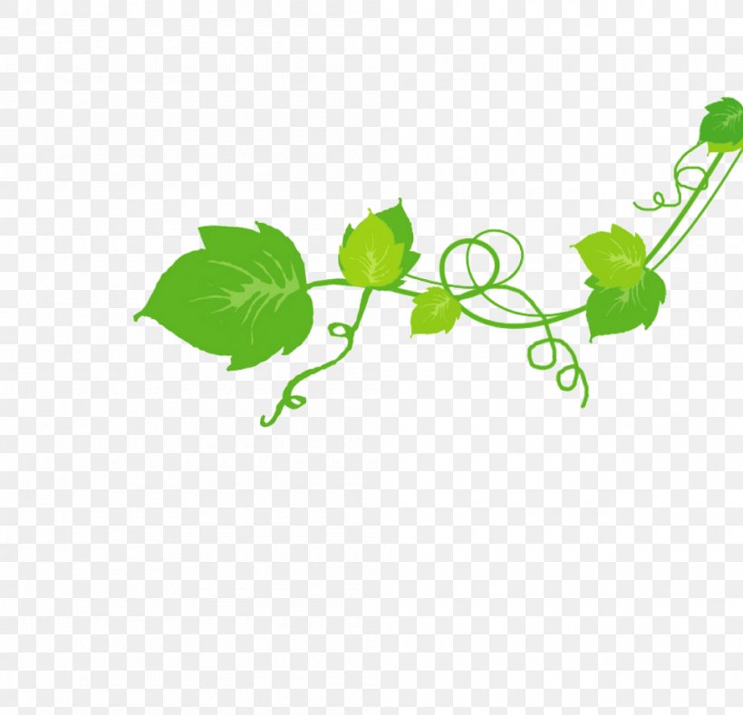 Leaf Clip Art Green Product Design Plant Stem, PNG, 1000x963px, Leaf, Branch, Branching, Grass, Green Download Free