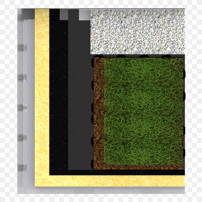 Rectangle, PNG, 1000x1000px, Rectangle, Grass, Green, Plant, Window Download Free