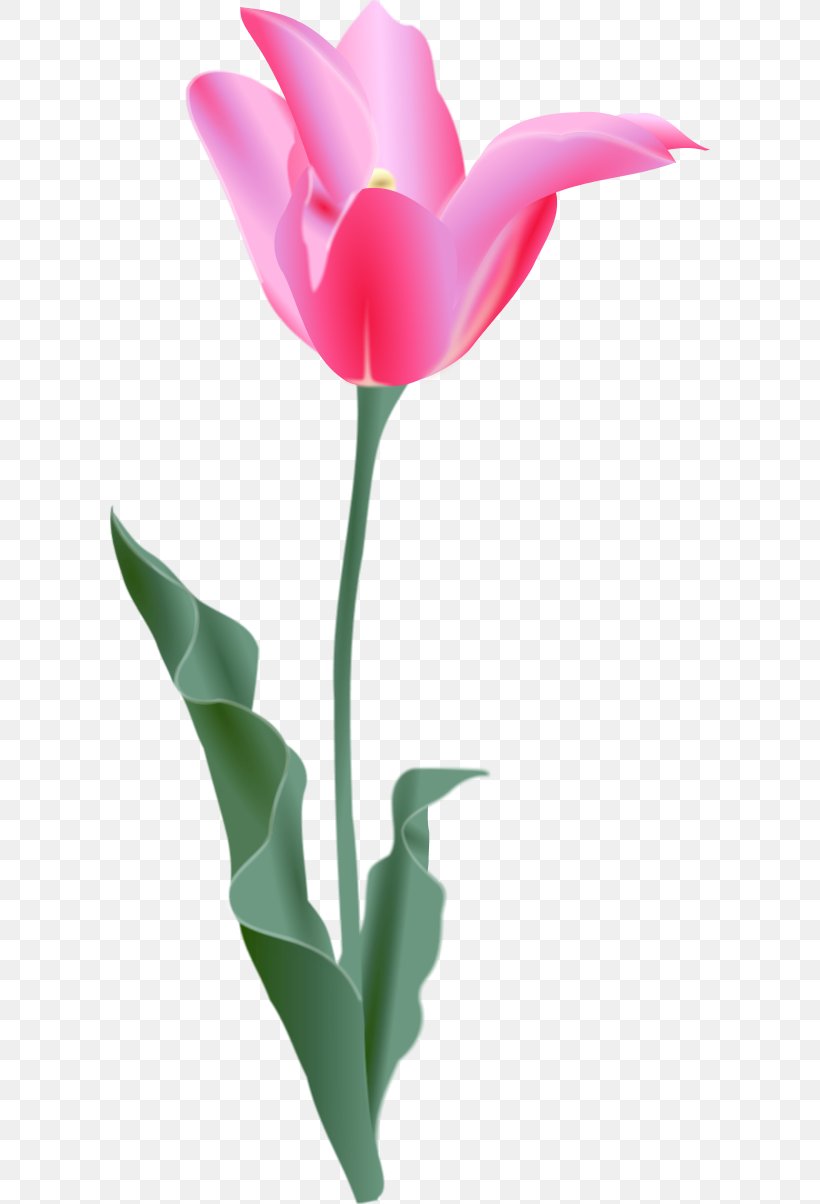 Tulip Free Content Flower Clip Art, PNG, 600x1204px, Tulip, Cut Flowers, Drawing, Flower, Flowering Plant Download Free