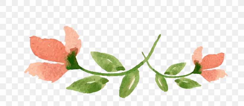 Watercolor Painting Flower Valentines Day, PNG, 2169x944px, Watercolor Painting, Designer, Diet Food, Floral Design, Flower Download Free