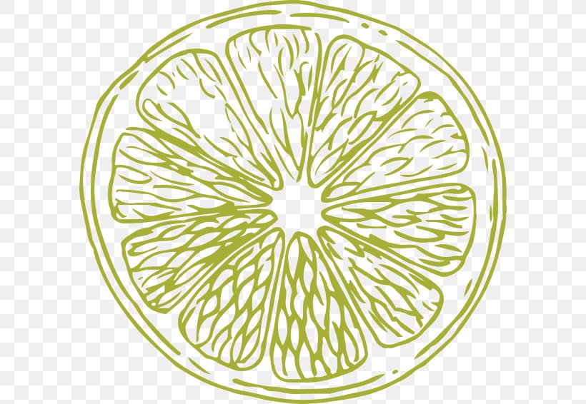 Citrus Farm Bicycle Wheels Grant Project, PNG, 598x566px, Citrus, Bicycle, Bicycle Wheel, Bicycle Wheels, Farm Download Free