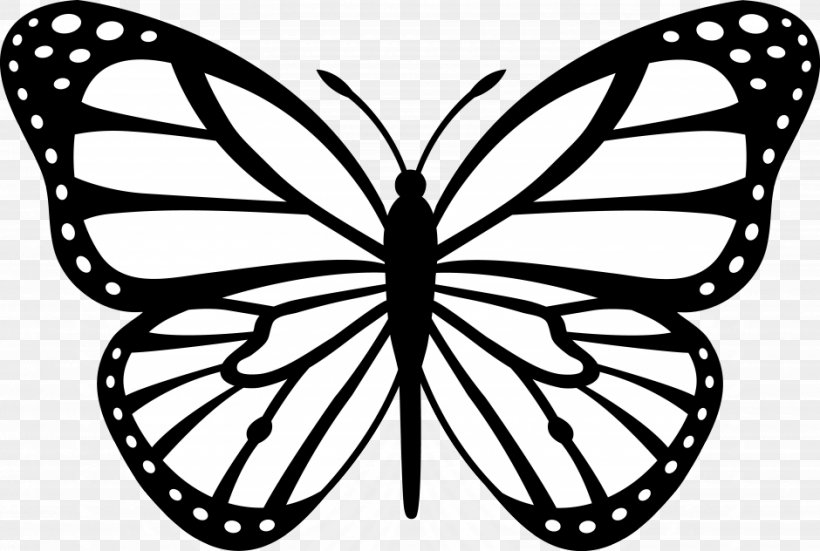Monarch Butterfly Outline Clip Art, PNG, 940x632px, Butterfly, Abstract, Area, Arthropod, Bicycle Wheel Download Free