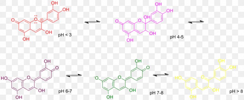 Anthocyanidin Anthocyanin Red Cabbage PH, PNG, 1024x423px, Cyanidin, Aglycone, Anthocyanidin, Anthocyanin, Area Download Free