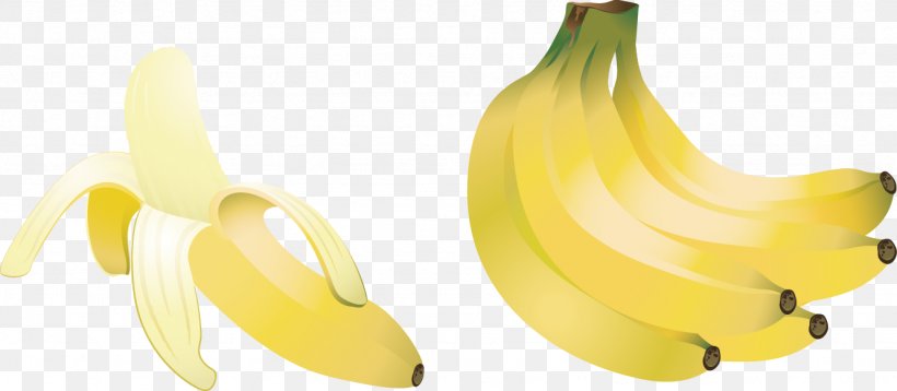 Banana Berry Food Illustration, PNG, 1332x583px, Banana, Banana Family, Berry, Drawing, Food Download Free