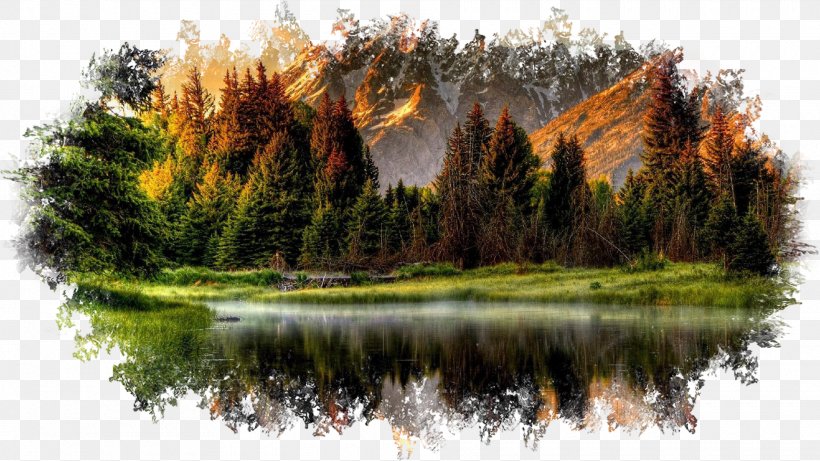 Desktop Wallpaper Landscape Forest River, PNG, 1920x1080px, Landscape, Bank, Bayou, Biome, Canvas Download Free