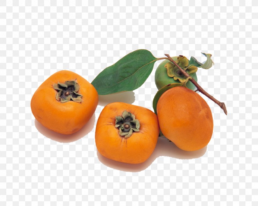 Persimmon Leaf Tea Wakayama Prefecture Korean Tea Japanese Persimmon, PNG, 1024x819px, Tea, Clementine, Diospyros, Eating, Ebony Trees And Persimmons Download Free