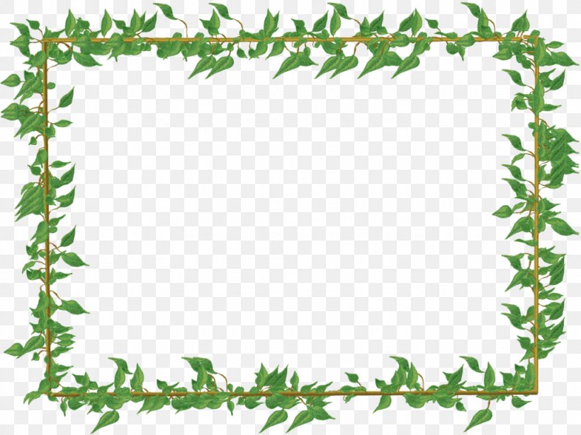 Clip Art Vector Graphics Image Photography, PNG, 1024x768px, Photography, Area, Art, Border, Branch Download Free