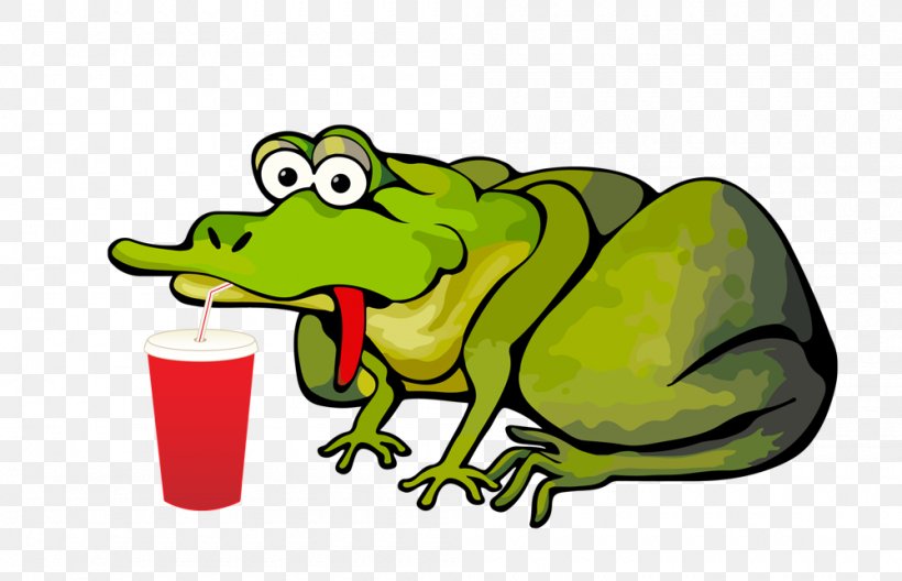 Toad's Fun Zone Tree Frog True Frog, PNG, 1000x645px, Toad, Amphibian, Artwork, Beak, Birthday Download Free