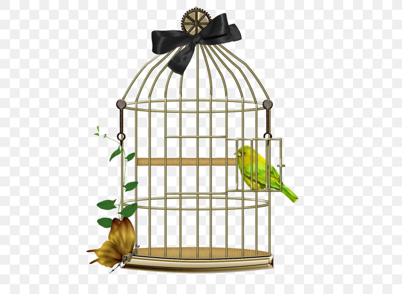 Birdcage Birdcage Lovebird, PNG, 600x600px, Bird, Bird Of Prey, Birdcage, Cage, Cartoon Download Free