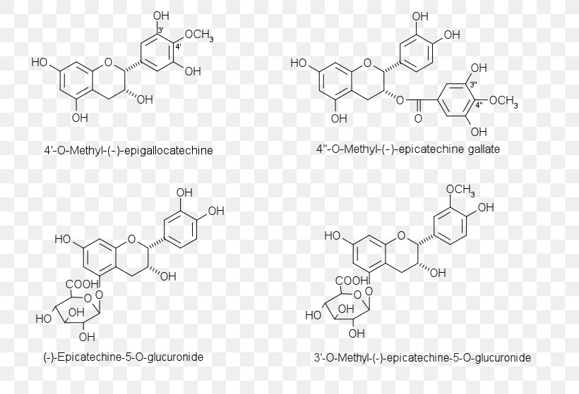 Chalcone Flavanone Aurone Flavonoid Chemical Substance, PNG, 794x559px, Chalcone, Acylation, Anthocyanin, Area, Auto Part Download Free