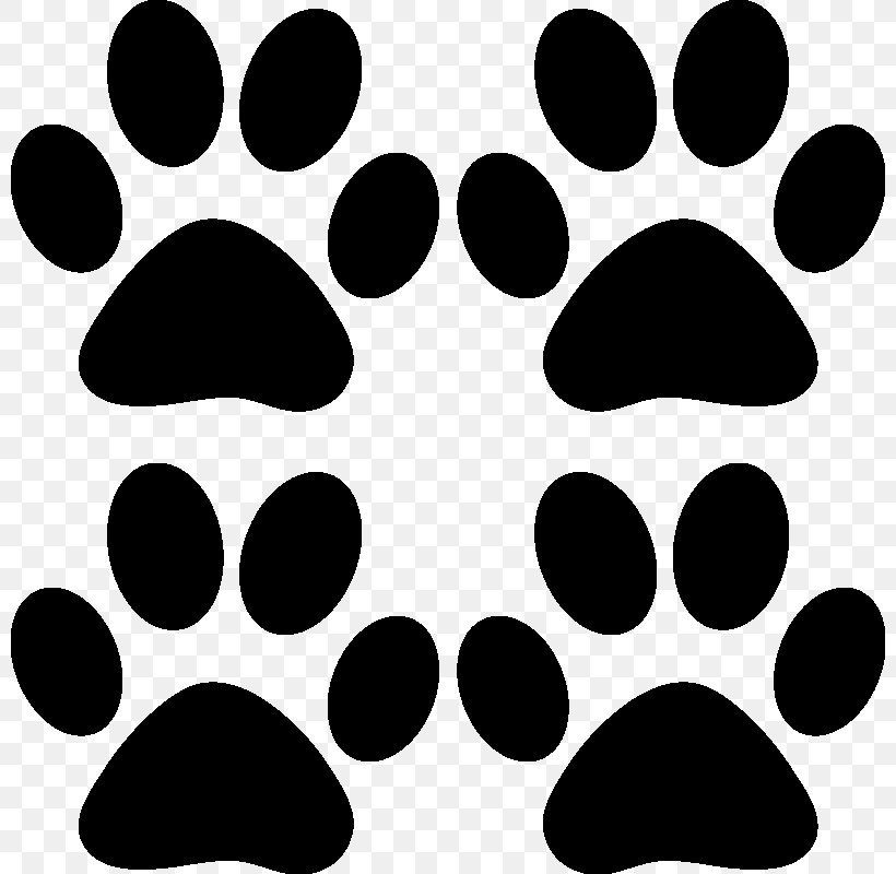 Dog And Cat, PNG, 800x800px, Paw, Black, Blackandwhite, Cat, Dog Download Free