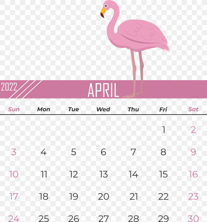 Flamingo, PNG, 3785x4076px, Birds, Beak, Biology, Calendar, Flamingo Download Free