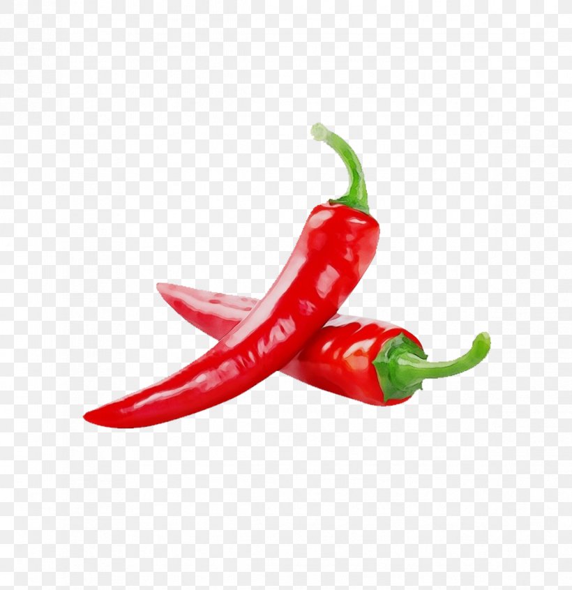 Malagueta Pepper Chili Pepper Tabasco Pepper Serrano Pepper Peperoncini, PNG, 1187x1226px, Watercolor, Bell Peppers And Chili Peppers, Birds Eye Chili, Cayenne Pepper, Chili Pepper Download Free