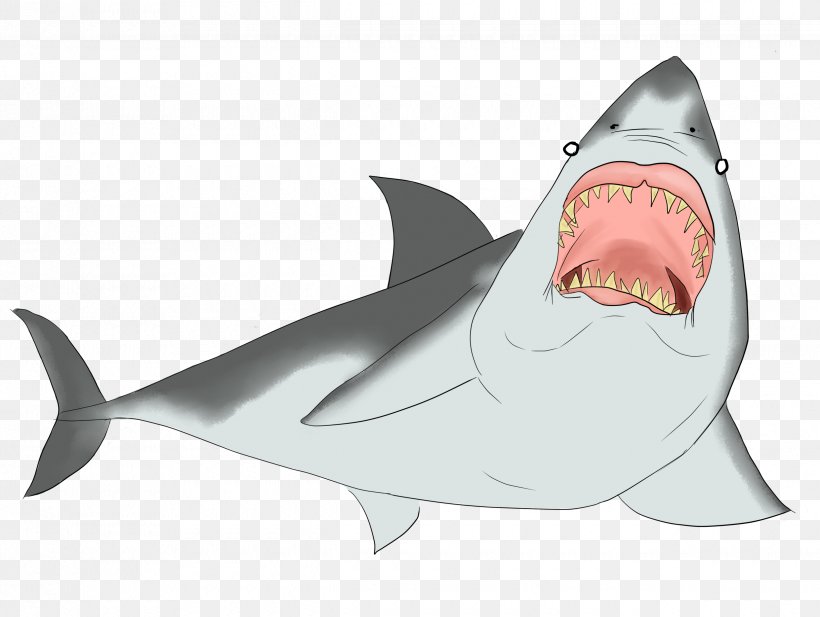 Shark Vertebrate Chondrichthyes Fish Fin, PNG, 2480x1869px, Shark, Animal, Cartilage, Cartilaginous Fish, Cartoon Download Free