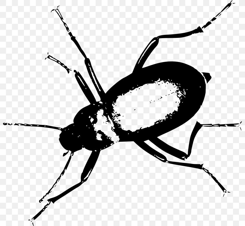 Darkling Beetle Mealworm Clip Art, PNG, 800x758px, Darkling Beetle, Arthropod, Beetle, Black And White, Drawing Download Free