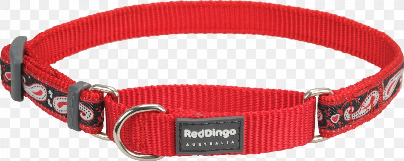Dog Collar Dingo Clothing Accessories Strap, PNG, 3000x1199px, Dog, Clothing Accessories, Collar, Dingo, Dog Collar Download Free