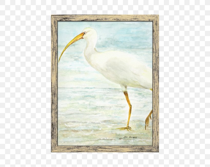 Great Egret Bird Painting Wader Ibis, PNG, 650x650px, Great Egret, Beak, Bird, Crane, Crane Like Bird Download Free
