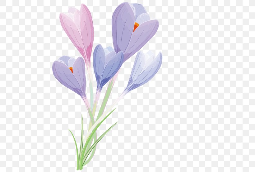 Greeting Card Flower, PNG, 517x555px, Greeting Card, Artworks, Birthday, Coreldraw, Crocus Download Free