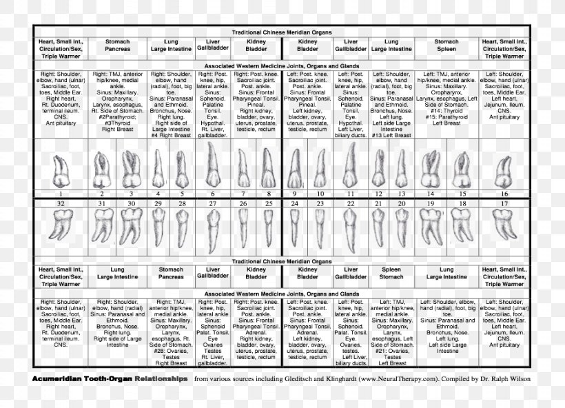 Document Drawing Detoxification Philosophy /m/02csf, PNG, 921x666px, Document, Area, Black And White, Cancer, Detoxification Download Free