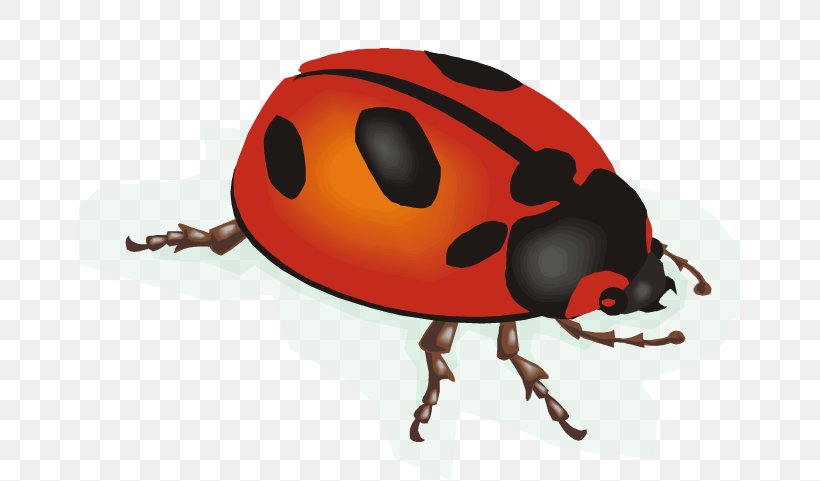 Ladybird Animation Clip Art, PNG, 661x481px, Ladybird, Animal, Animation, Arthropod, Beetle Download Free