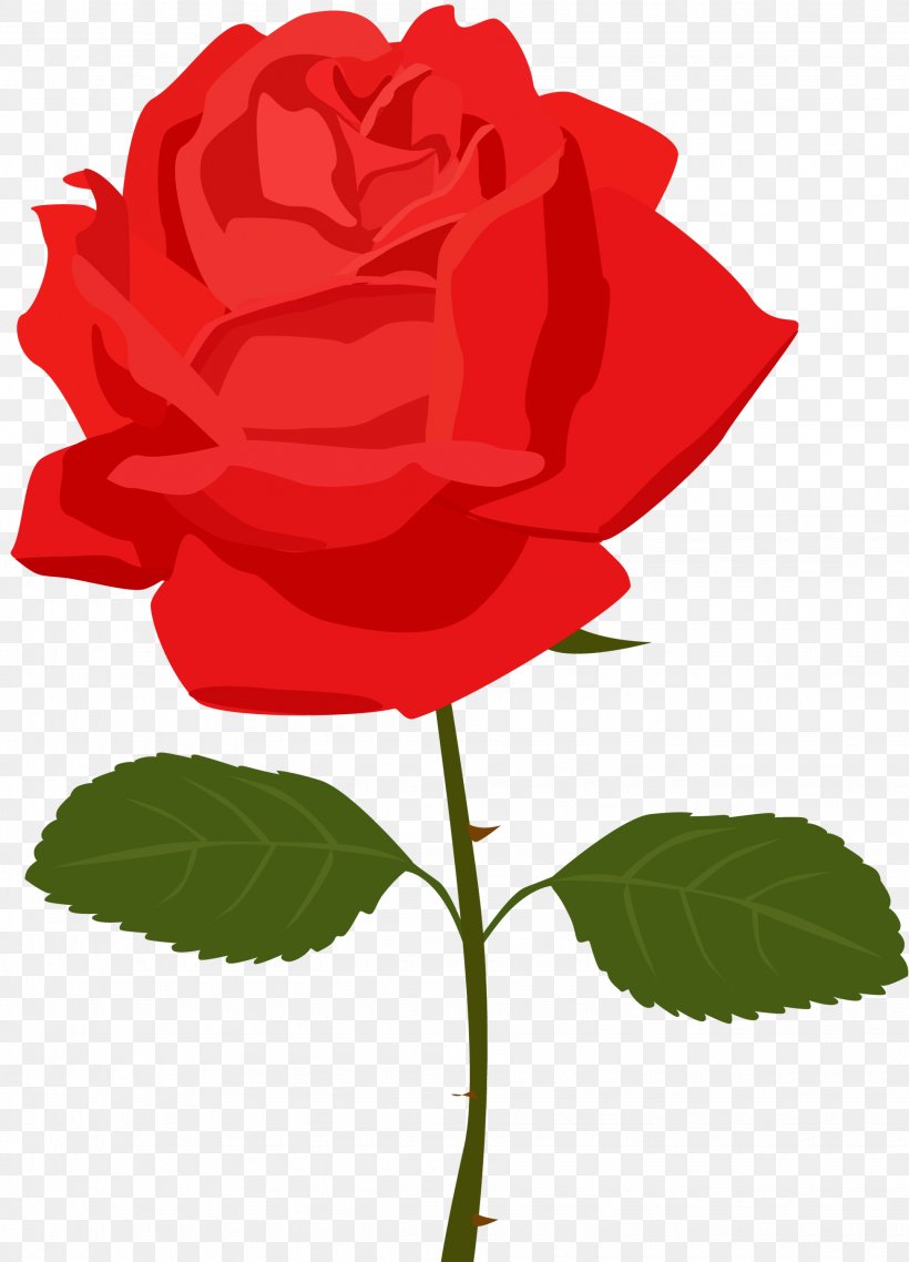 Rose Free Content Clip Art, PNG, 1950x2707px, Rose, Animation, Blog, China Rose, Cut Flowers Download Free