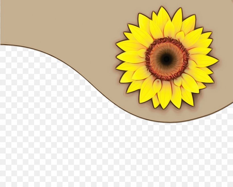 Sunflower, PNG, 1000x803px, Watercolor, Asterales, Daisy Family, Eye, Flower Download Free