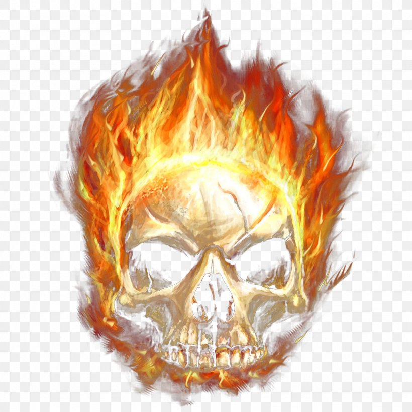 Calavera Skull Flame Fire, PNG, 1024x1024px, Calavera, Bone, Combustion, Fire, Flame Download Free