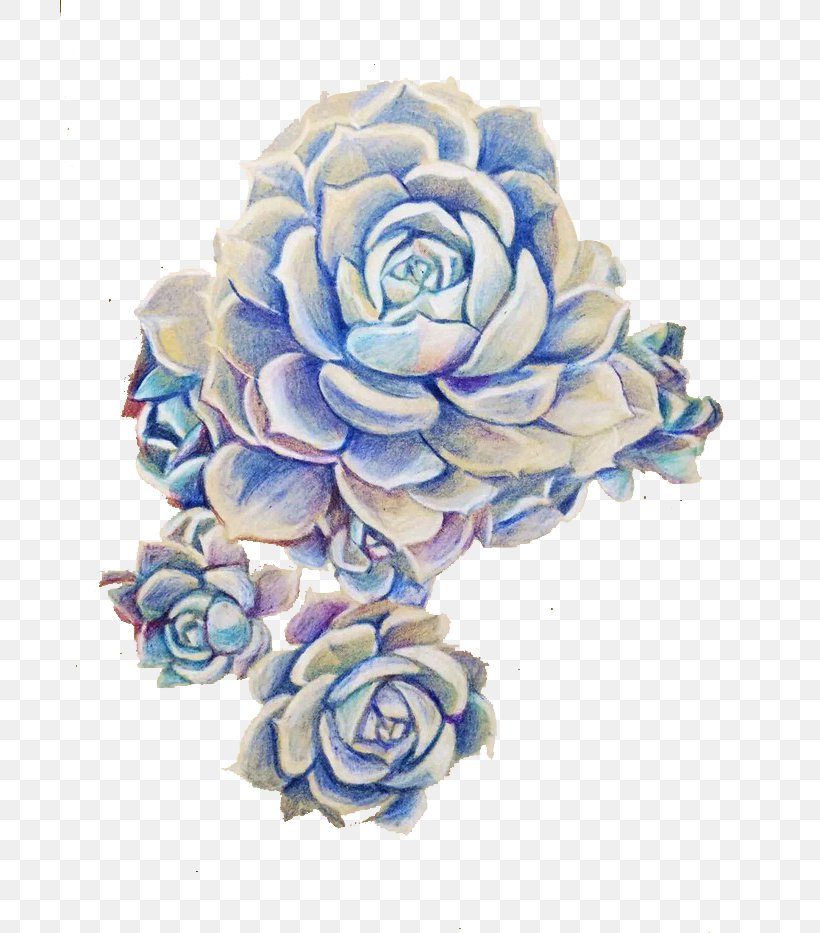 Succulent Plant Purple Cut Flowers, PNG, 700x933px, Succulent Plant, Artificial Flower, Blue, Colored Pencil, Cut Flowers Download Free