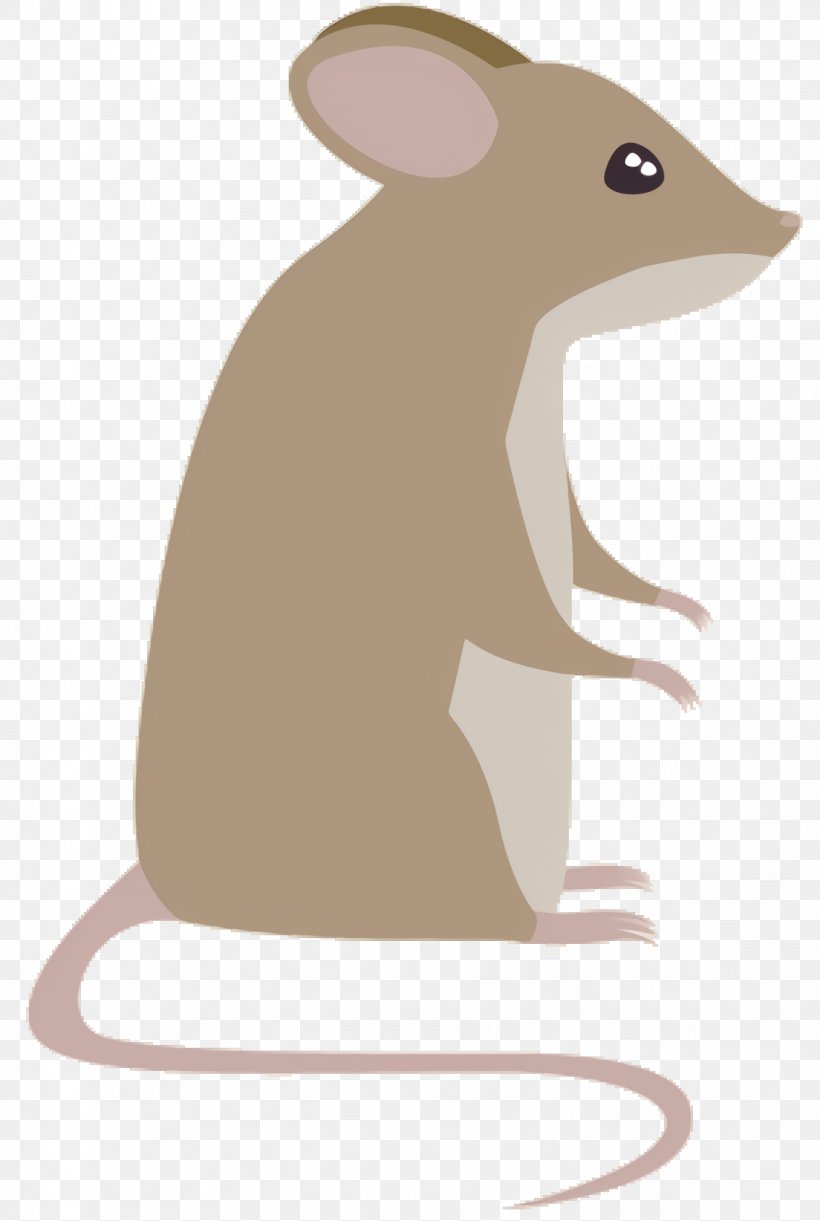 Cartoon Mouse, PNG, 1136x1692px, Rat, Animal Figure, Cartoon, Computer Mouse, Gerbil Download Free