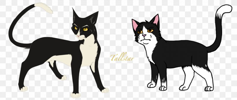 Kitten Warriors Whiskers Tallstar Cat, PNG, 1600x680px, Kitten, Art, Carnivoran, Cat, Cat Like Mammal Download Free