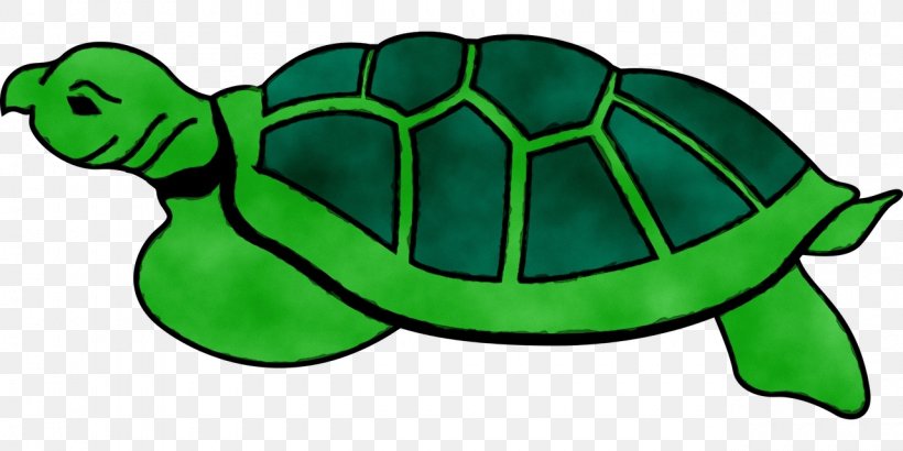 Modern Sea Turtles Reptile Clip Art Tortoise, PNG, 1280x640px, Turtle,  Animal, Drawing, Green, Green Sea Turtle