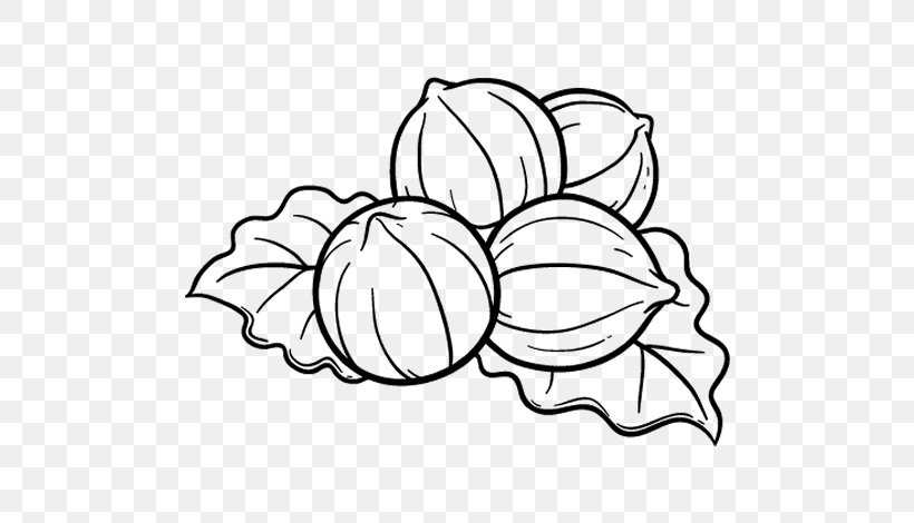 Drawing Hazelnut Dried Fruit Coloring Book Food, PNG, 600x470px, Drawing, Area, Artwork, Auglis, Black Download Free