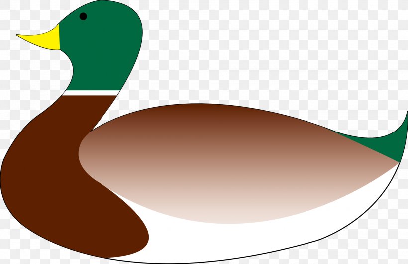 Mallard Call Duck Water Bird, PNG, 1920x1241px, Mallard, Anatidae, Anseriformes, Beak, Bird Download Free