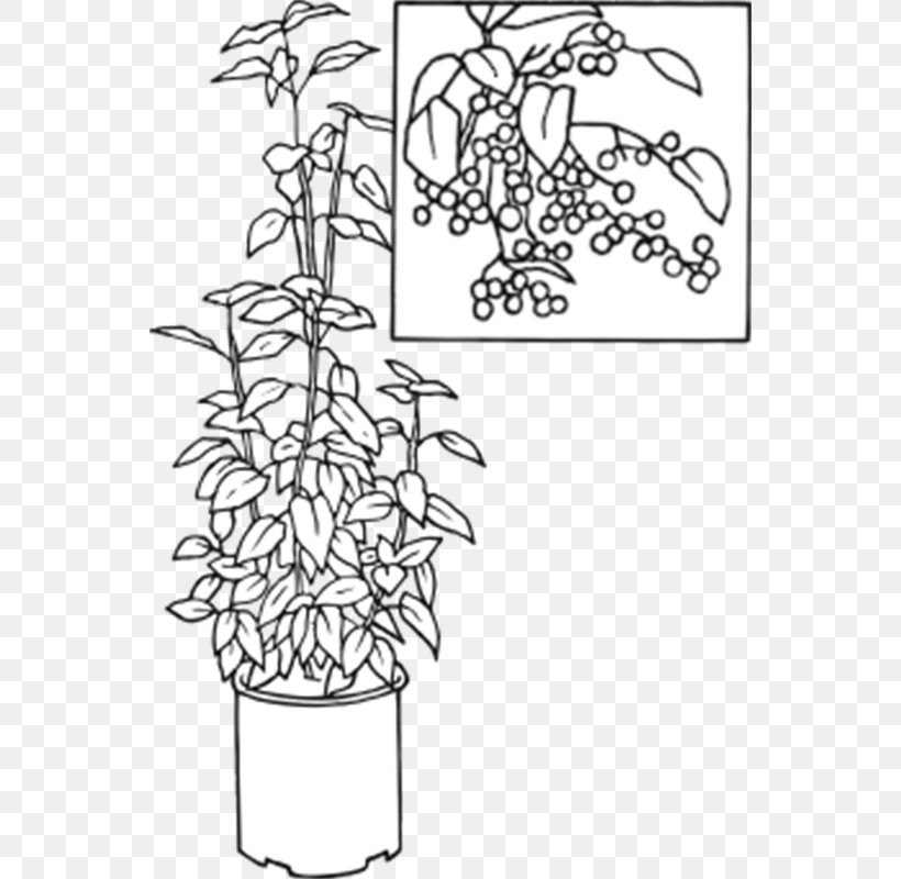 Plant Stem Visual Arts Leaf Flower, PNG, 800x800px, Plant Stem, Animal, Art, Black And White, Branch Download Free